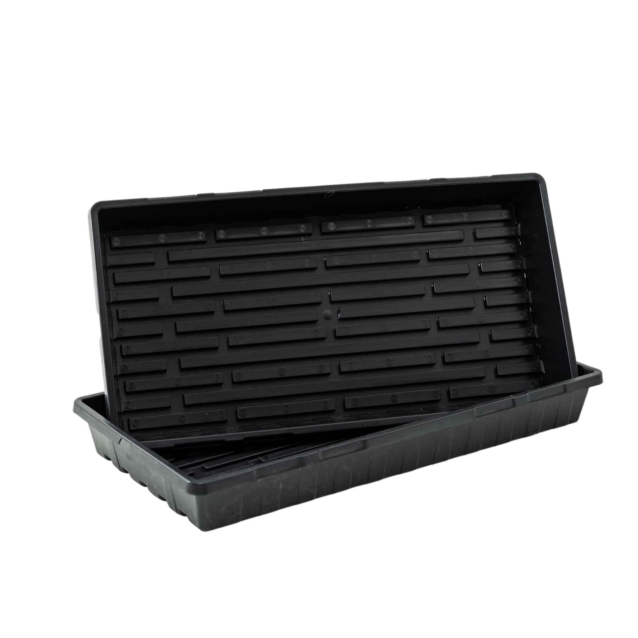 Best Selling Products