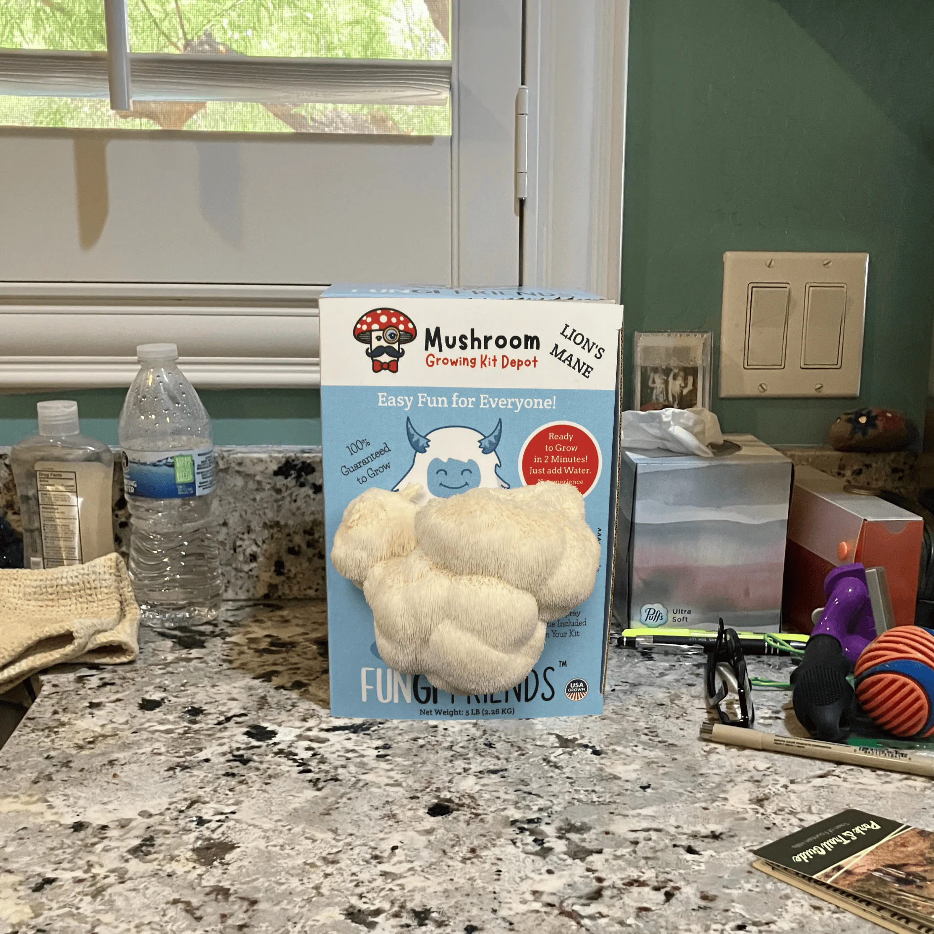 Product image 4