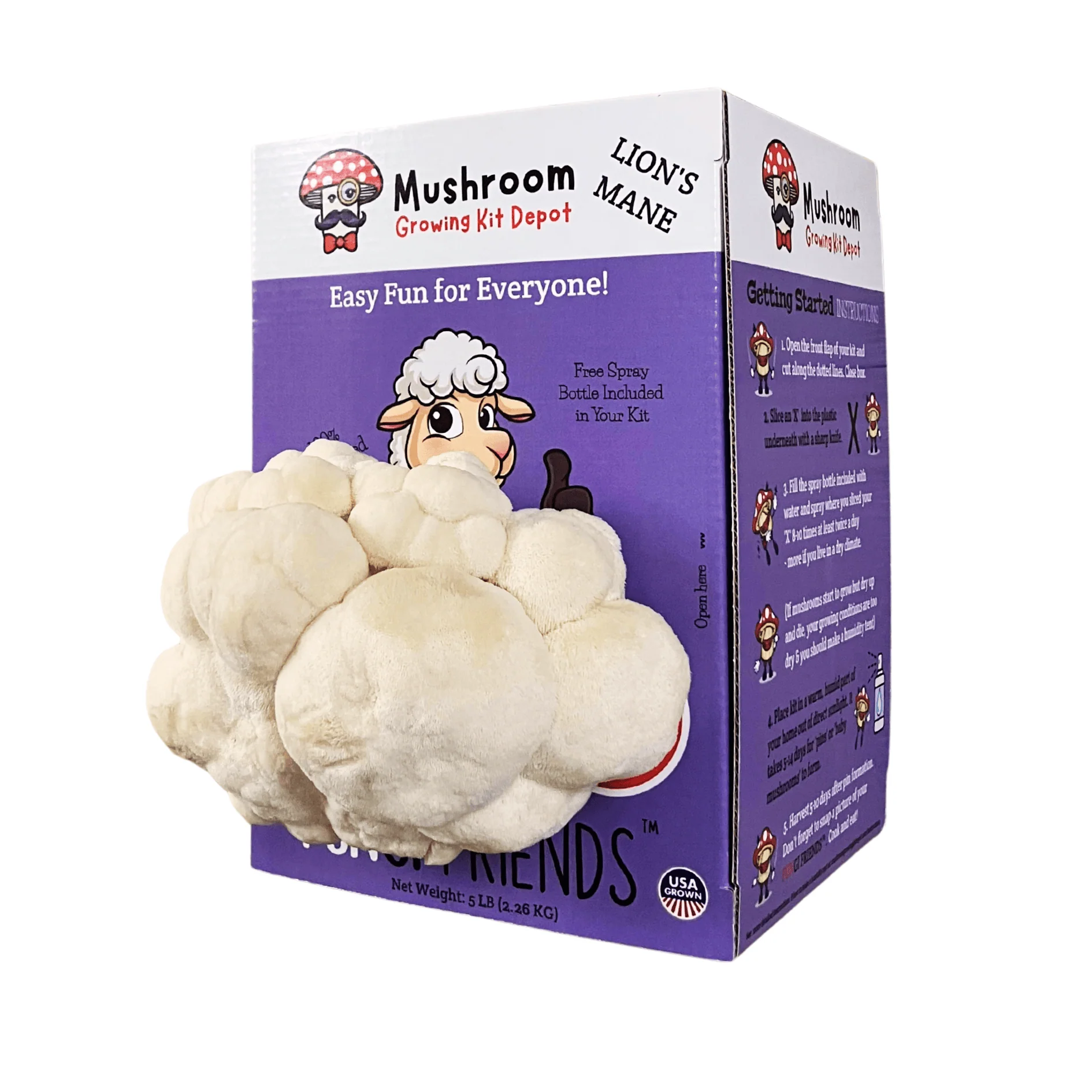 Product image 4