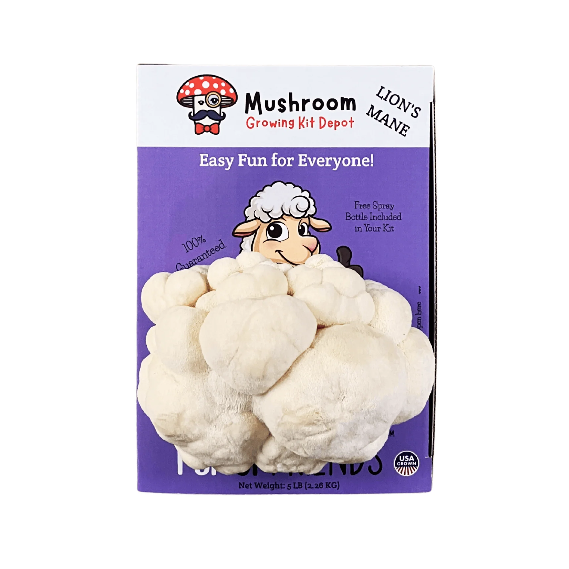 Product image 5
