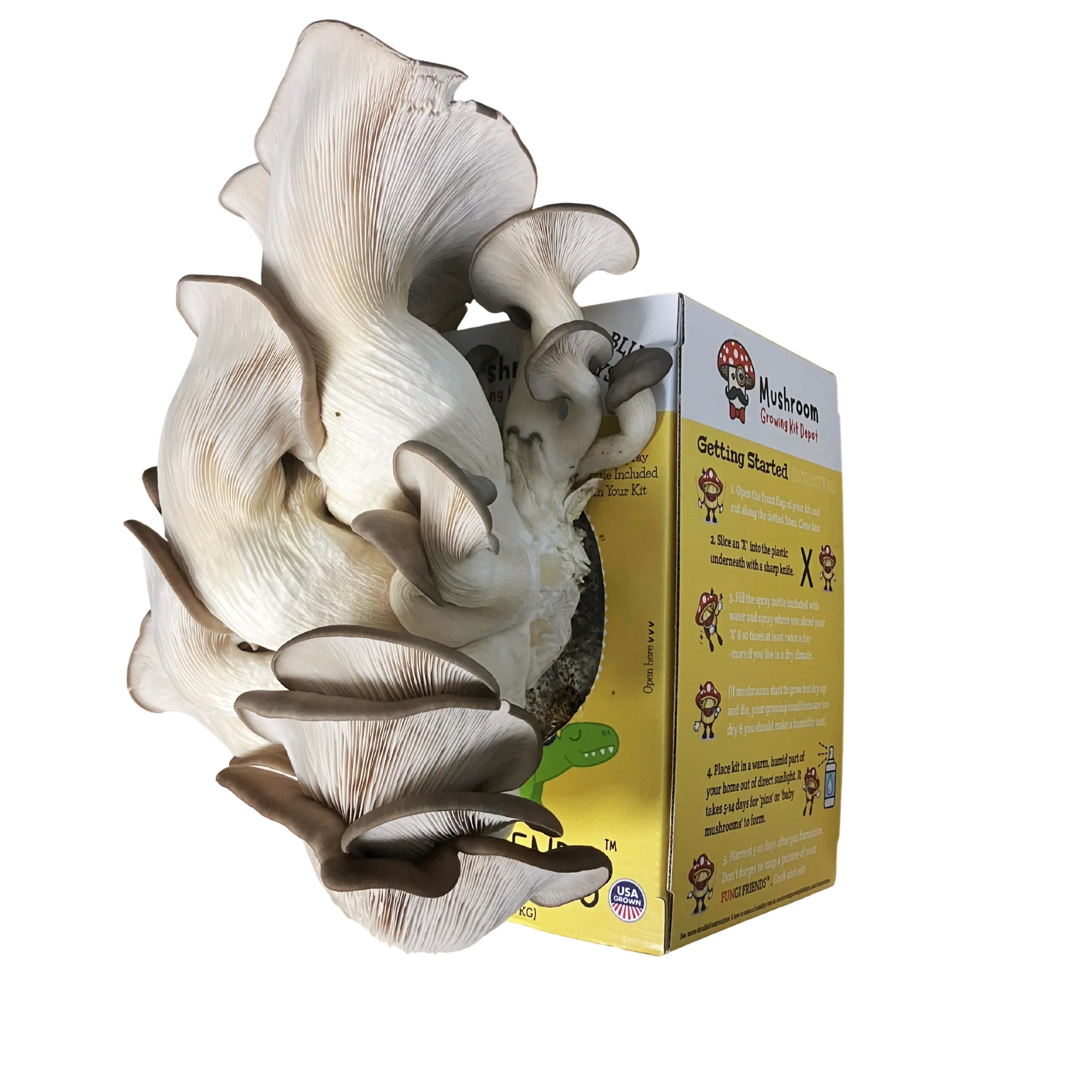 Product image 4